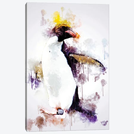 Macaroni Penguin Canvas Print #CVL144} by Cornel Vlad Canvas Print