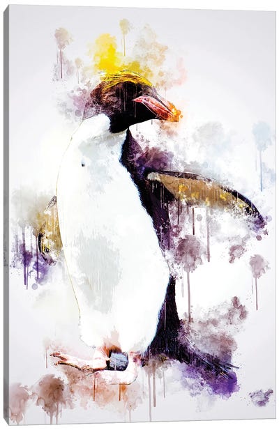 Macaroni Penguin Canvas Art Print - Penguin Art