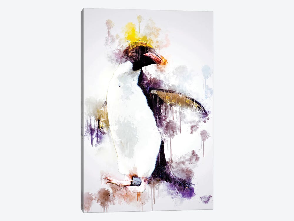 Macaroni Penguin by Cornel Vlad 1-piece Canvas Wall Art