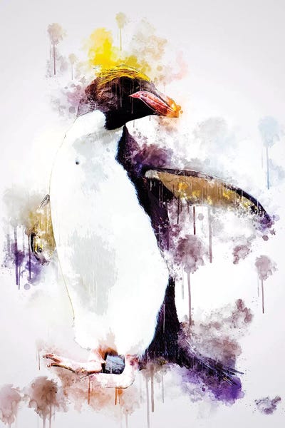 Penguins: Macaroni Penguin by Cornel Vlad