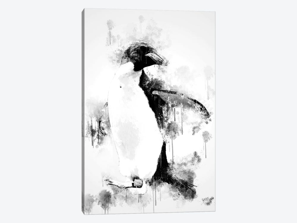 Macaroni Penguin In Black And White by Cornel Vlad 1-piece Canvas Art Print