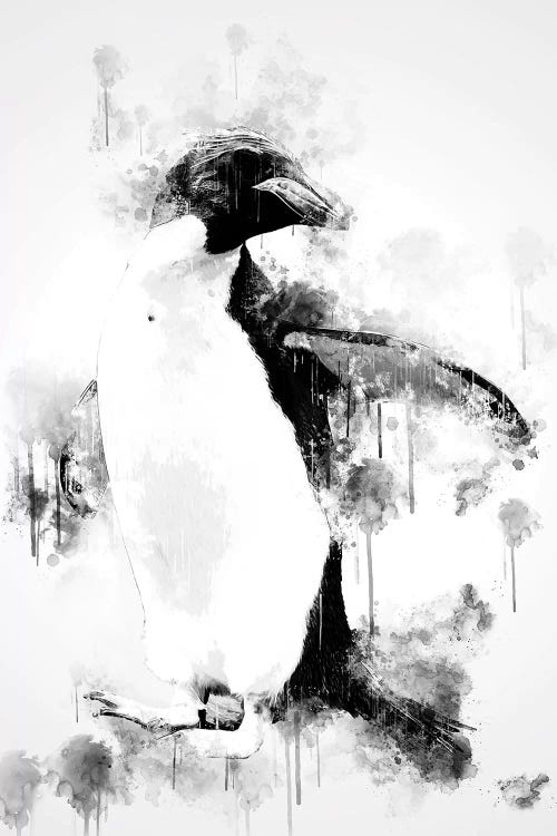 Macaroni Penguin In Black And White