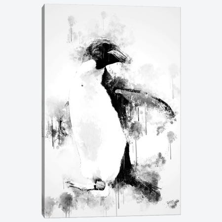 Macaroni Penguin In Black And White Canvas Print #CVL145} by Cornel Vlad Canvas Print