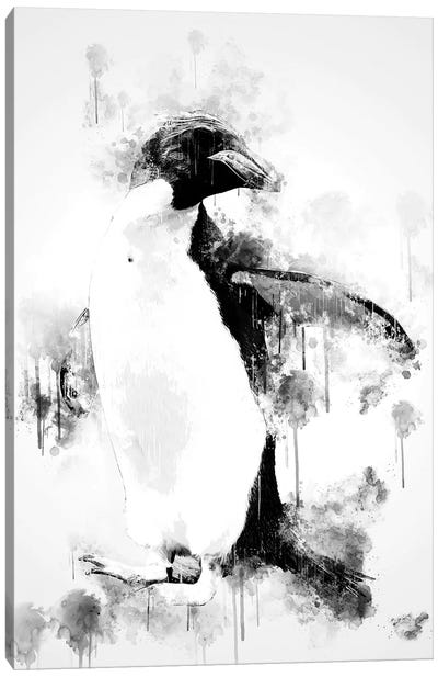 Macaroni Penguin In Black And White Canvas Art Print - Penguin Art