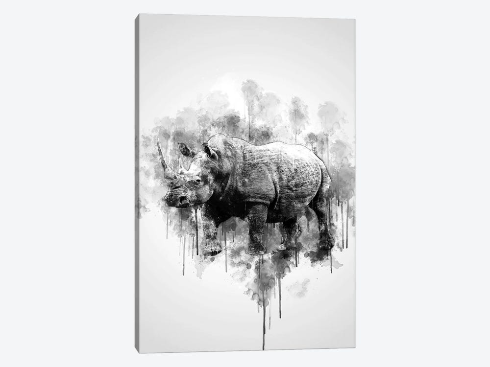 Rhino In Black And White by Cornel Vlad 1-piece Canvas Wall Art