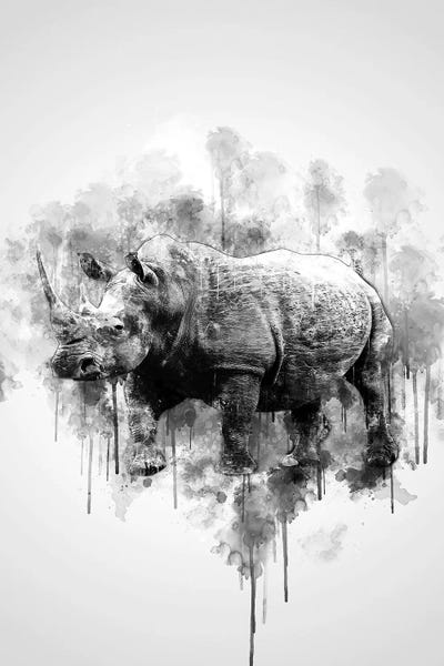 Rhinoceroses: Rhino In Black And White by Cornel Vlad
