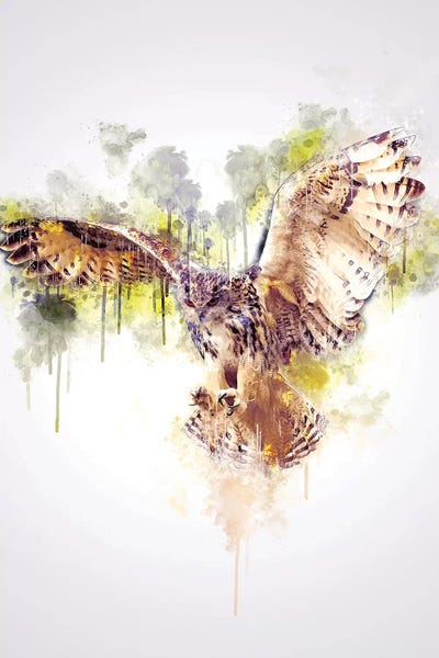 Owl by Cornel Vlad framed canvas print