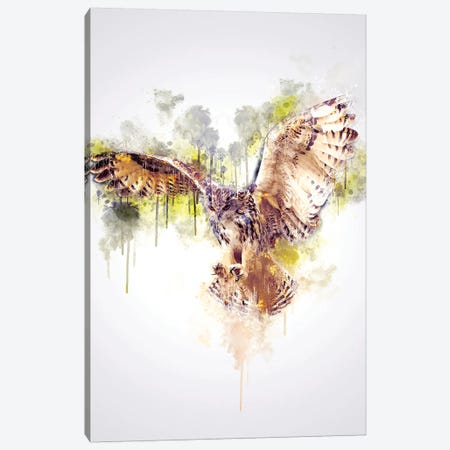 Owl Canvas Print #CVL147} by Cornel Vlad Canvas Art Print