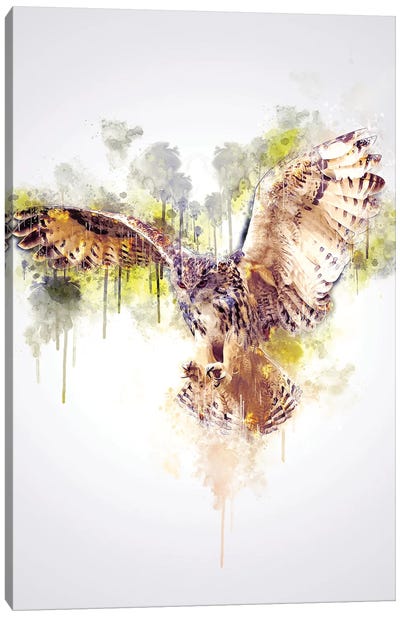 Owl Canvas Art Print - Cornel Vlad