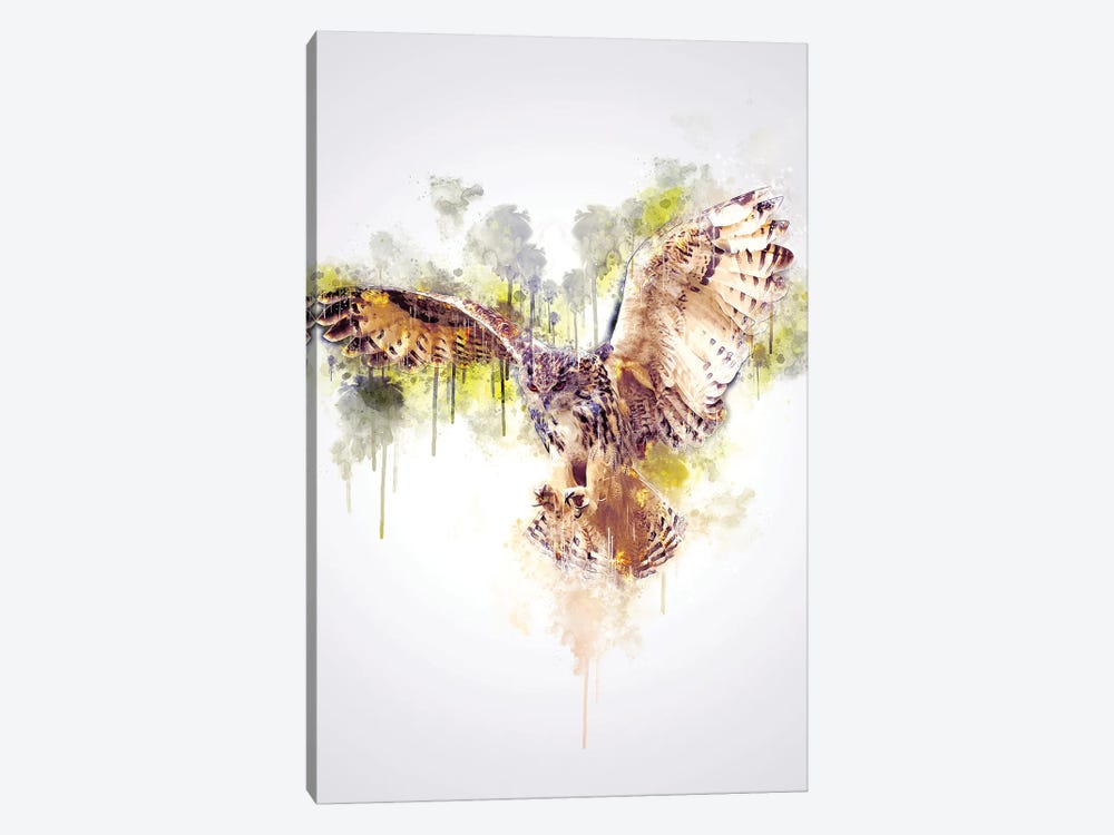 Owl by Cornel Vlad 1-piece Canvas Art Print