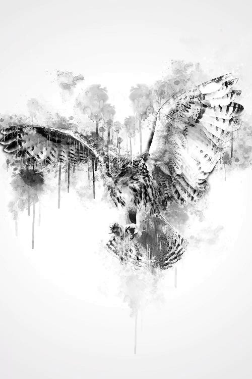 Owl In Black And White by Cornel Vlad wall art