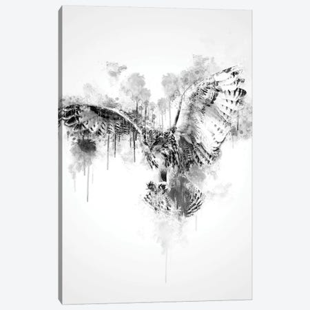 Owl In Black And White Canvas Print #CVL148} by Cornel Vlad Canvas Wall Art