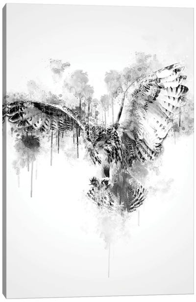 Owl In Black And White Canvas Art Print - Cornel Vlad
