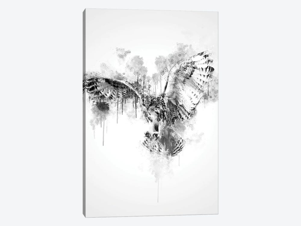 Owl In Black And White by Cornel Vlad 1-piece Canvas Artwork