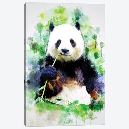 Panda Canvas Print #CVL149} by Cornel Vlad Canvas Wall Art