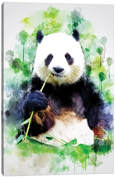 Panda Canvas Art Print - Panda Art
