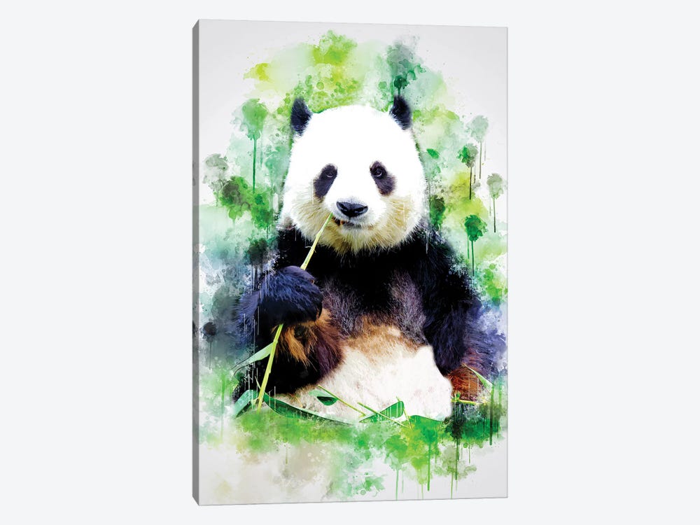 Panda by Cornel Vlad 1-piece Canvas Print