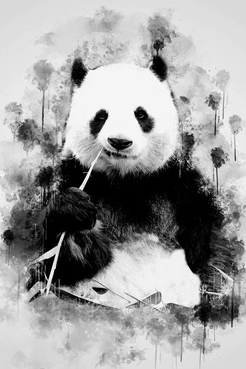 Panda In Black And White by Cornel Vlad wall art