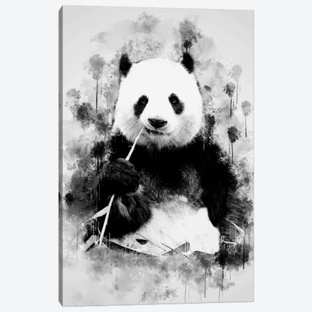 Panda In Black And White Canvas Print #CVL150} by Cornel Vlad Canvas Print
