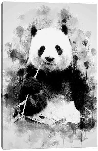 Panda In Black And White Canvas Art Print - Panda Art