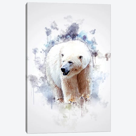 Polar Bear Canvas Print #CVL151} by Cornel Vlad Canvas Art Print