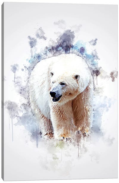 Polar Bear Canvas Art Print - Cornel Vlad
