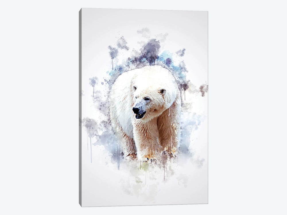 Polar Bear by Cornel Vlad 1-piece Canvas Wall Art