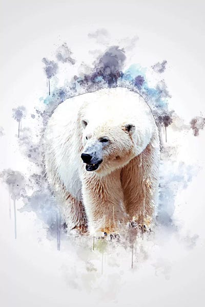 Polar Bears: Polar Bear by Cornel Vlad