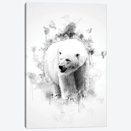 Polar Bear In Black And White Canvas Print #CVL152} by Cornel Vlad Canvas Print