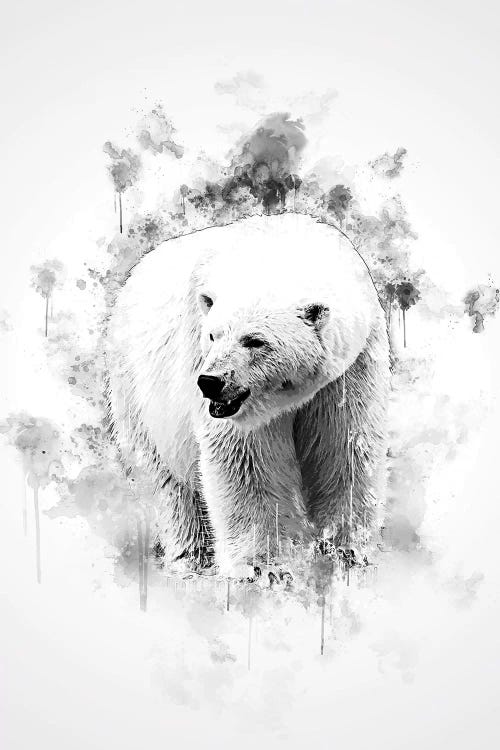 Polar Bear In Black And White