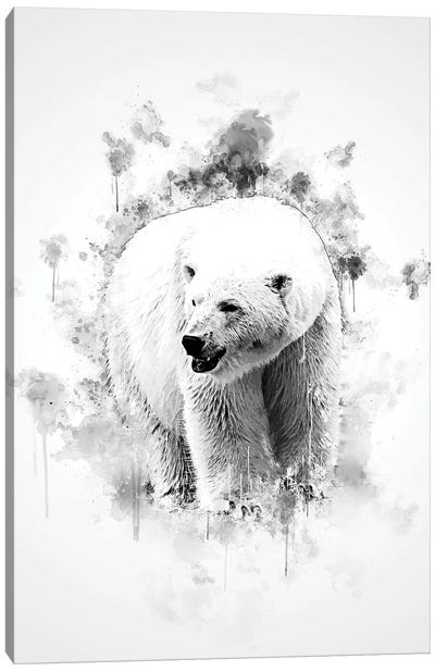 Polar Bear In Black And White Canvas Art Print - Polar Bear Art