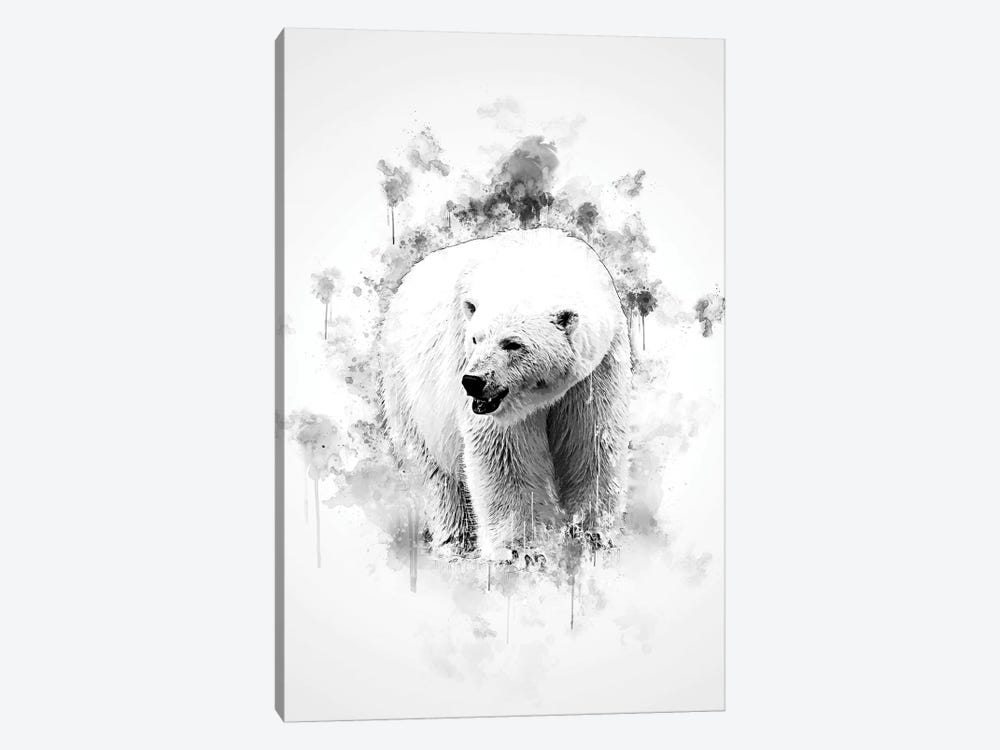 Polar Bear In Black And White by Cornel Vlad 1-piece Canvas Art Print