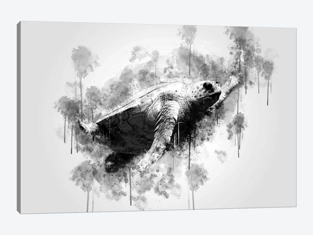 Sea Turtle by Cornel Vlad 1-piece Canvas Artwork