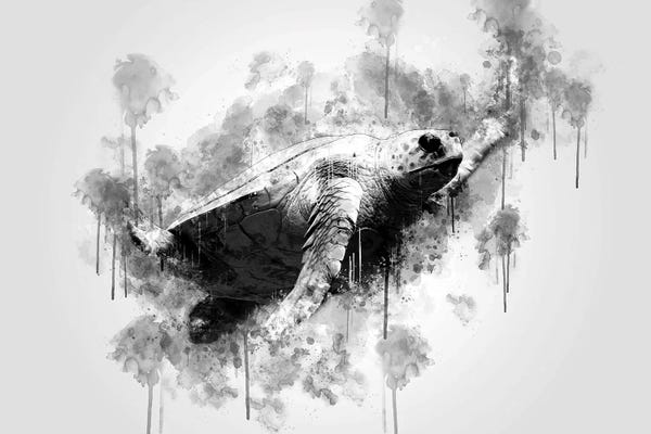 Turtles: Sea Turtle by Cornel Vlad