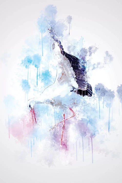 Stork by Cornel Vlad wall art