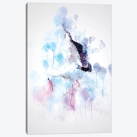 Stork Canvas Print #CVL154} by Cornel Vlad Canvas Art