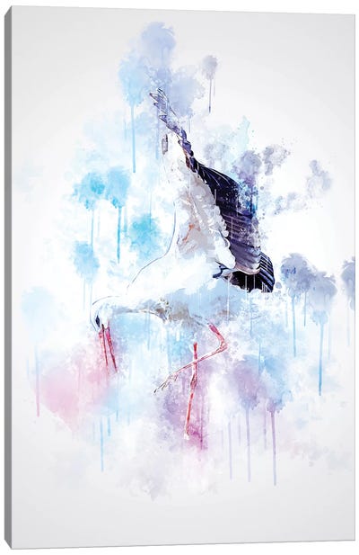 Stork Canvas Art Print - Cornel Vlad