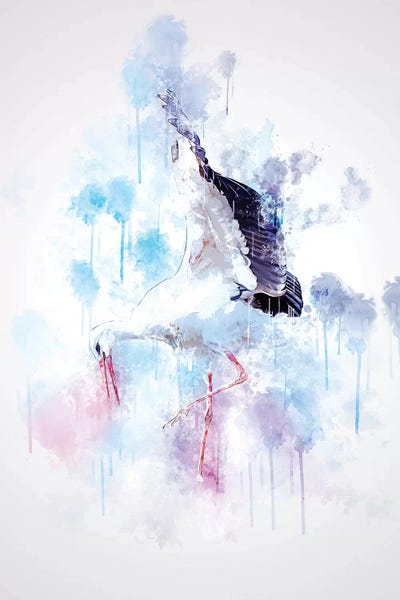 Storks: Stork by Cornel Vlad