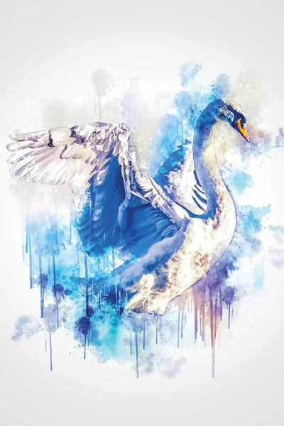 Swan by Cornel Vlad canvas print