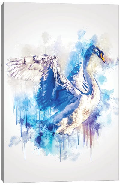 Swan Canvas Art Print - Cornel Vlad