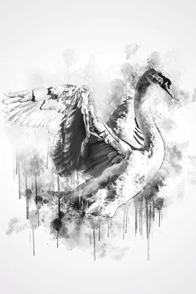Swan In Black And White by Cornel Vlad framed wall art