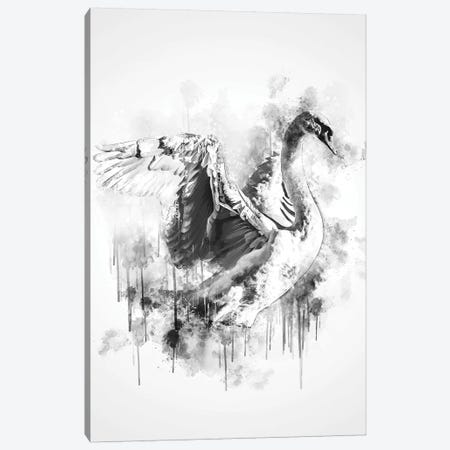 Swan In Black And White Canvas Print #CVL156} by Cornel Vlad Canvas Wall Art