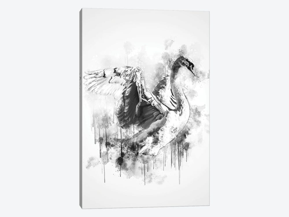 Swan In Black And White by Cornel Vlad 1-piece Canvas Art Print
