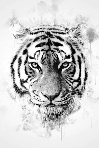 Tiger Head by Cornel Vlad canvas print