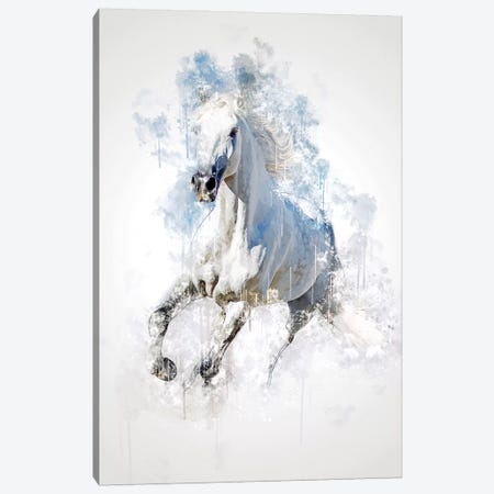 Horse Canvas Print #CVL158} by Cornel Vlad Art Print