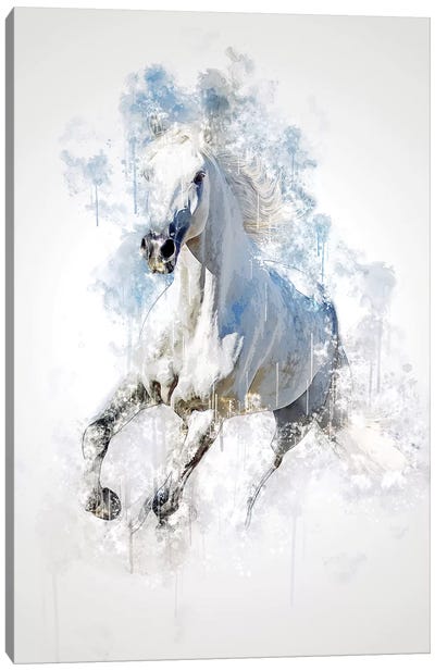 Horse Canvas Art Print - Cornel Vlad