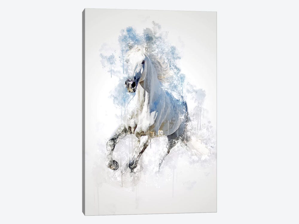Horse by Cornel Vlad 1-piece Canvas Print