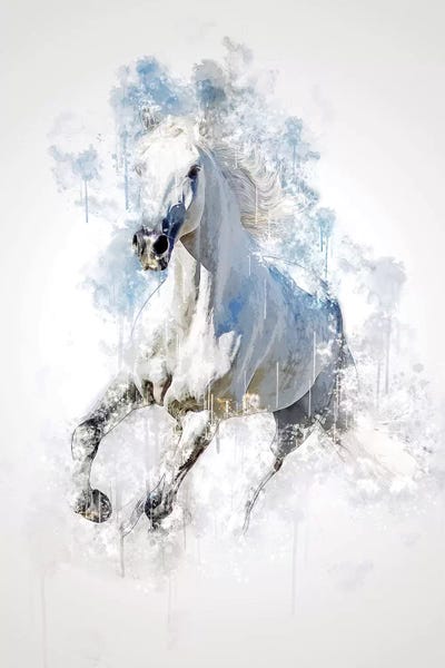 Horses: Horse by Cornel Vlad