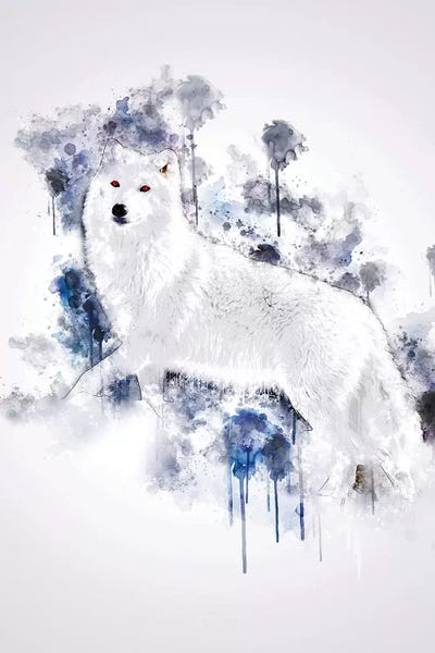 White Wolf by Cornel Vlad canvas print