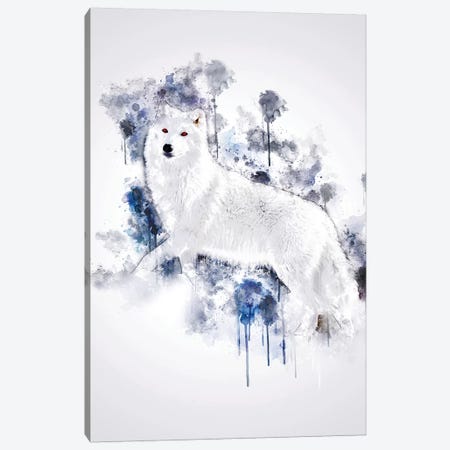 White Wolf Canvas Print #CVL159} by Cornel Vlad Canvas Art Print